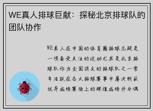 WE真人排球巨献：探秘北京排球队的团队协作